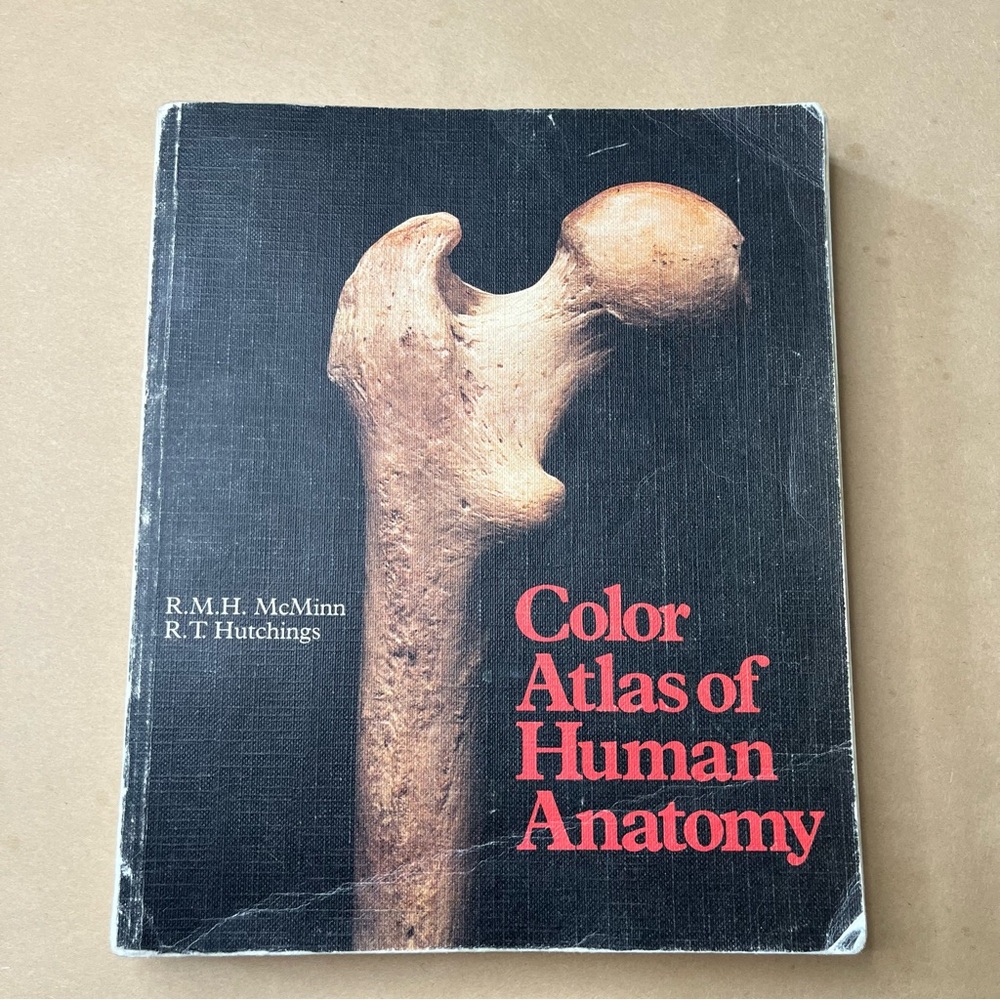 Color Atlas of Human Anatomy
